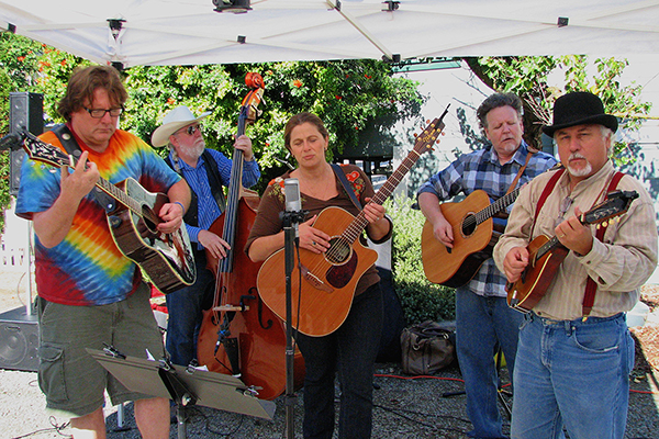 click to view larger image Musical Entertainment on the 2011 Home Tour.